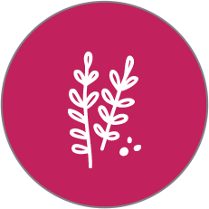 naturopathy