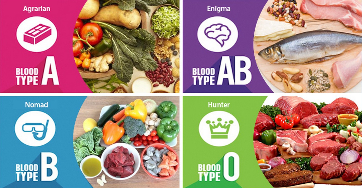 What Is The Blood Type Diet? - Ascent Wellbeing Limited